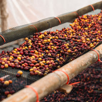 Costa Rica, Diego Robelo