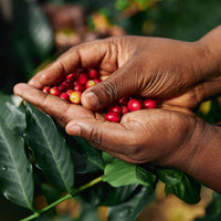 Ethiopia, Yukro