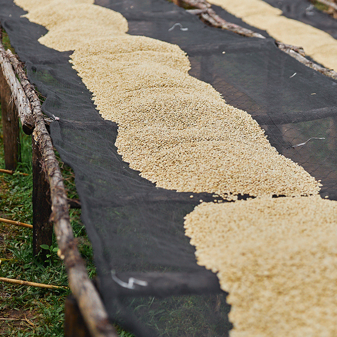 Ethiopia, Yukro