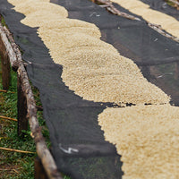 Ethiopia, Yukro