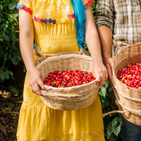 Peruvian Single Origin Coffee