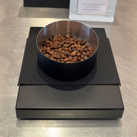 Inmaculada Eugenioides - Brewing Masterclass