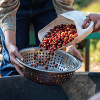 Costa Rica, Reposado