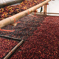 Costa Rica, Reposado