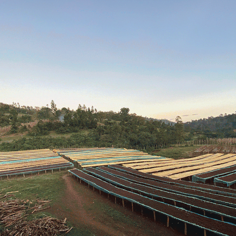 Ethiopia, Sakicha