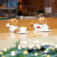 Coffee and Toffee Bear