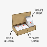 Explorer Taster Pack