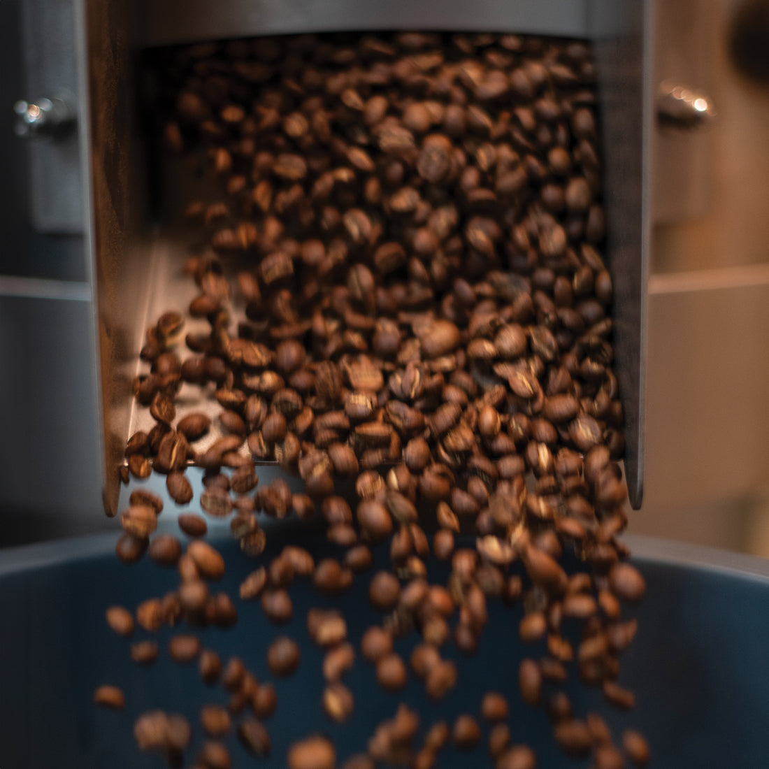 Colombia Jardines Gesha Coffee