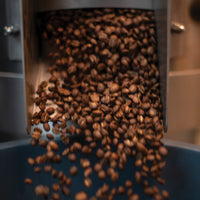 Colombia Jardines Gesha Coffee