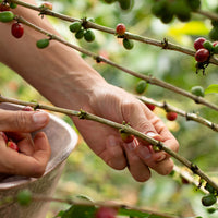 Ethiopia, Genji Challa