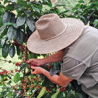 Peru, La Cima Field Blend