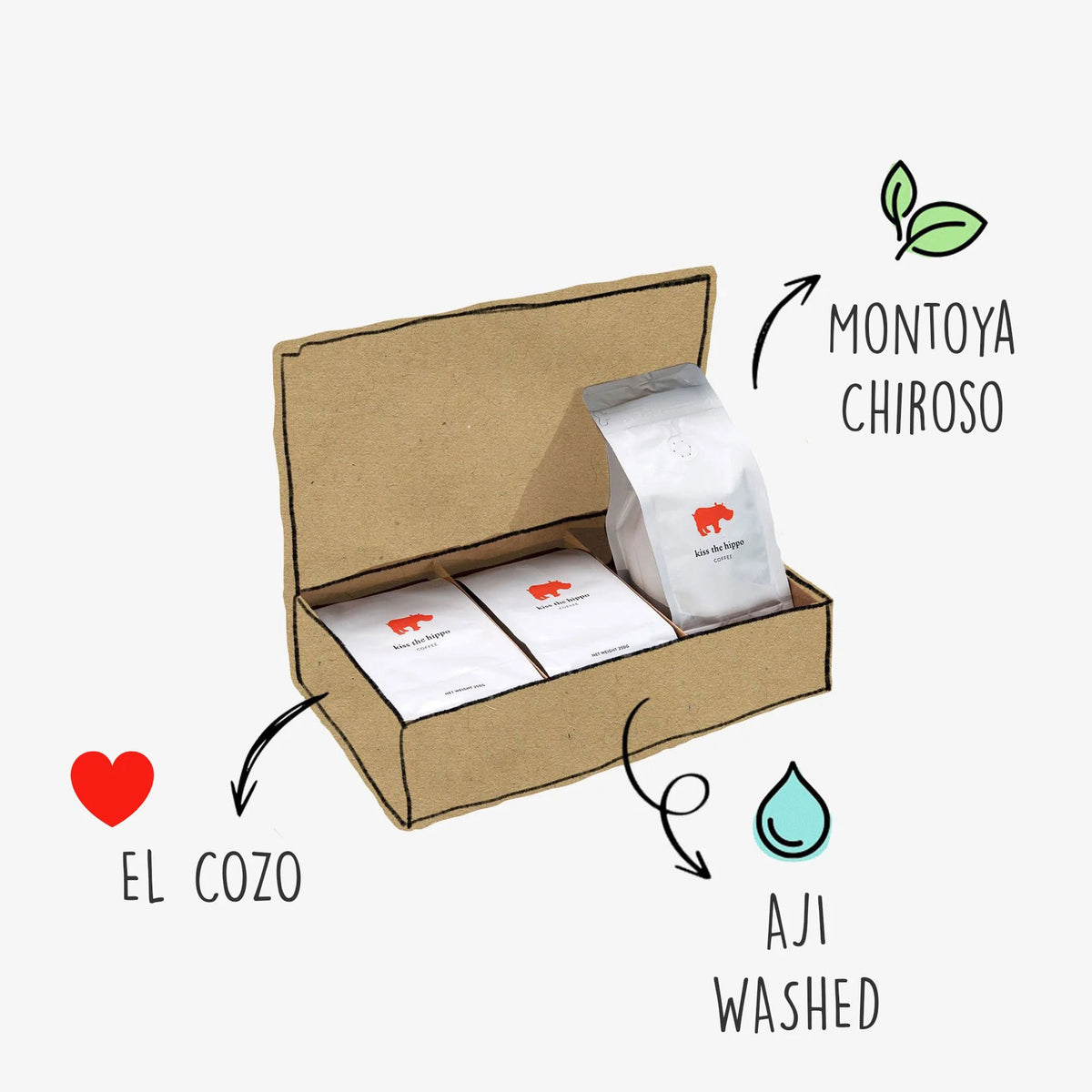 Colombian Taster Pack