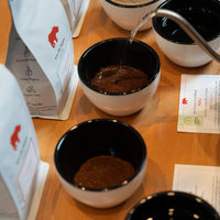 Coffee Tasting Experience | City