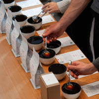 Coffee Tasting Experience | City