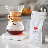 kiss-the-hippo-jeshua-colombia