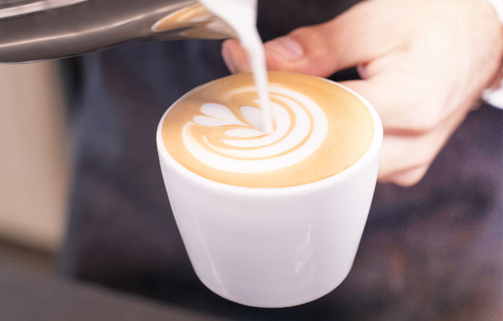 kiss the hippo -coffee latte art