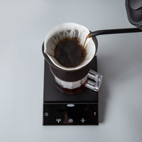 Felicita Incline Scale