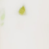 Kiss the Hippo Craft Matcha preparation, ceremonial grade whisked to vibrant green