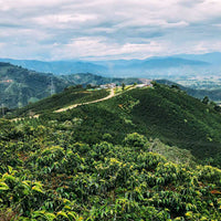 Kiss The Hippo Coffee