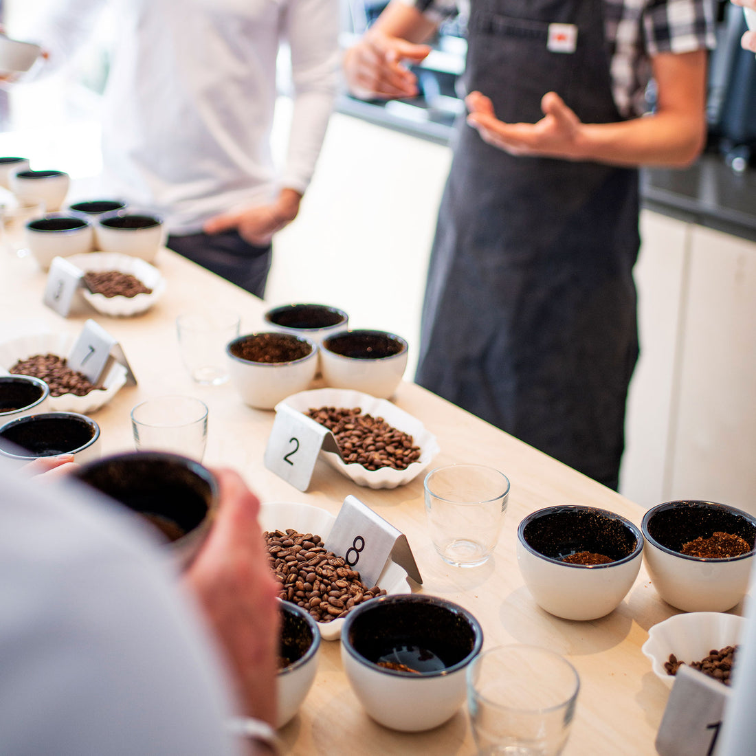 Coffee Tasting Experience | Bloomsbury