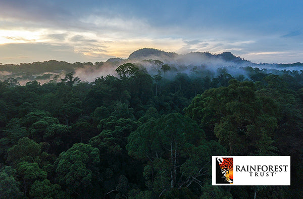 kiss the hippo - coffee - sustainability