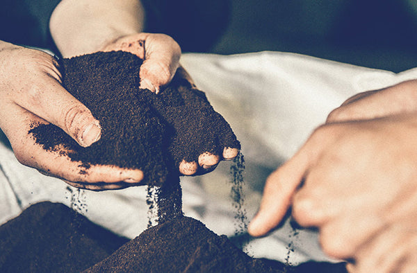 kiss the hippo - coffee - sustainability